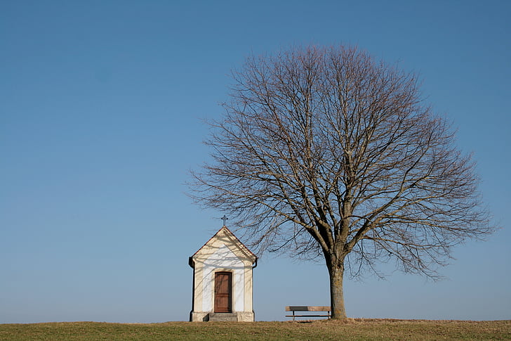 chapel, feldkapelle, tree, defoliated, spring, sky, blue