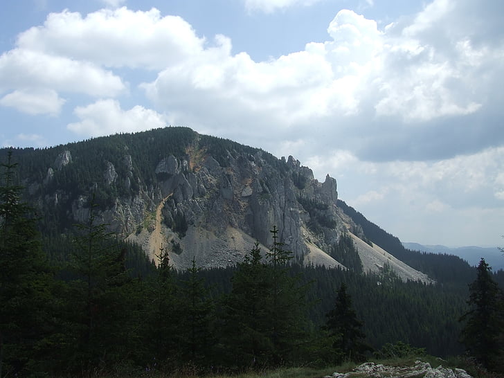acantilado, erosión, montañas de cebolla, Transilvania, naturaleza, bosque, nube