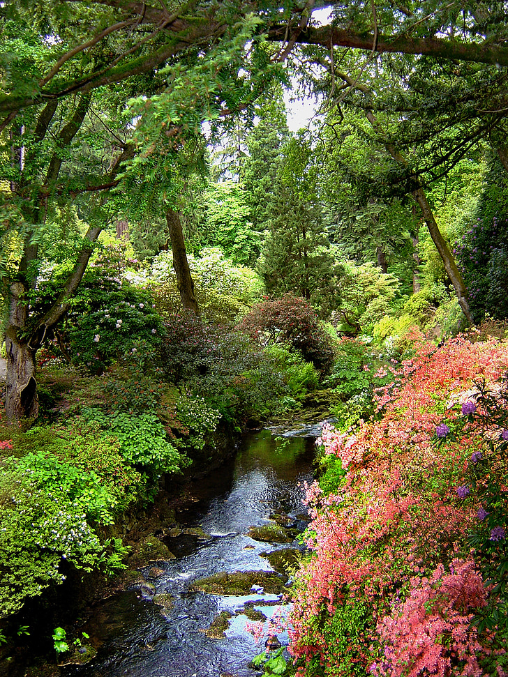 Bodnant, trädgårdar, Wales, nationella, förtroende, blommor, färgade