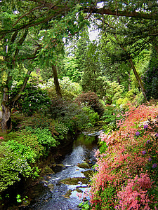 Bodnant, Giardini, Galles, nazionale, fiducia, fiori, colorato