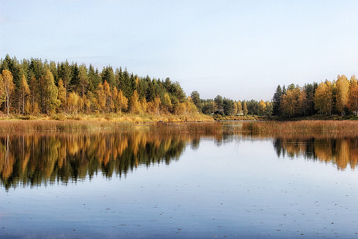 Finlandia, Danau, air, Kolam, refleksi, musim gugur, musim gugur