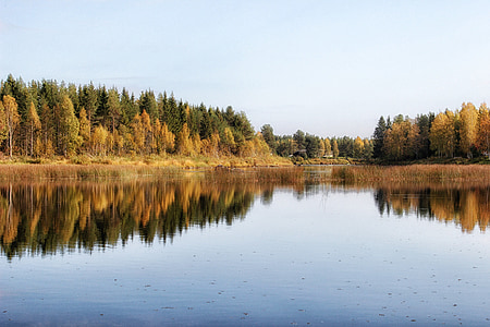 Finlandia, Lago, agua, estanque, reflexiones, caída, otoño