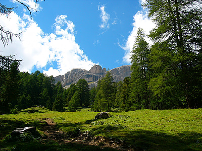 montagne, été, Val di fassa, Dolomites, Prato, vert, nuages
