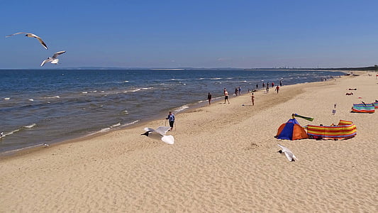 Usedom, Zinnowitz, ουρανός, παραλία, στη θάλασσα, μπλε, σύννεφα