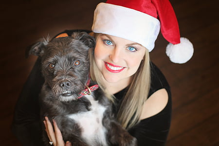 Рождество, щенок, собака, Рождество собака, колпак Санта-Клауса, шляпа, Портрет