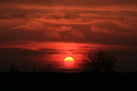 sunset, sun, red, sky, fire, in the evening, cloud