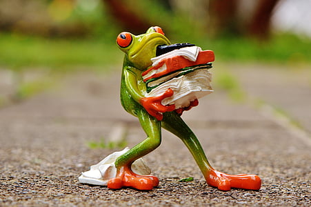 frog, figure, files, stack, files stacked, office, decoration