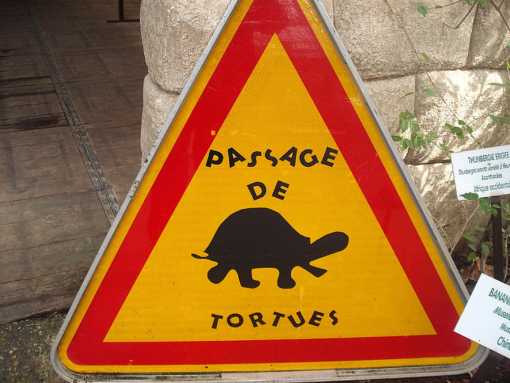 znak, nevarnost, živali, humor