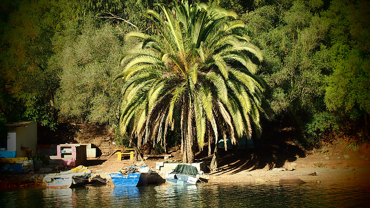 Palme, mestu Comporta, čolni