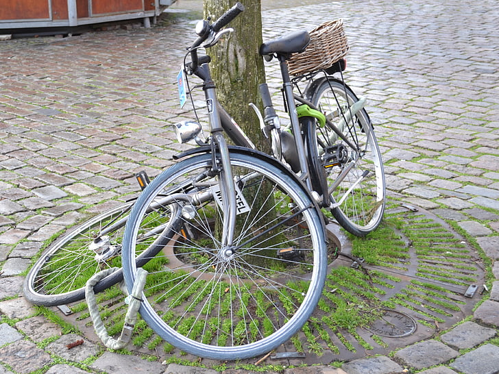 自転車, オランダ, オランダ語, 旅行, ヨーロッパ, 自転車, ストリート