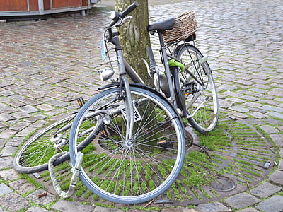 cykel, Holland, nederlandsk, rejse, Europa, cykel, Street