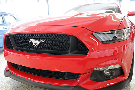 Mustang, GB, 2015, cotxe de l'afició, cotxe, Mustang gt 2015, Mustang gt