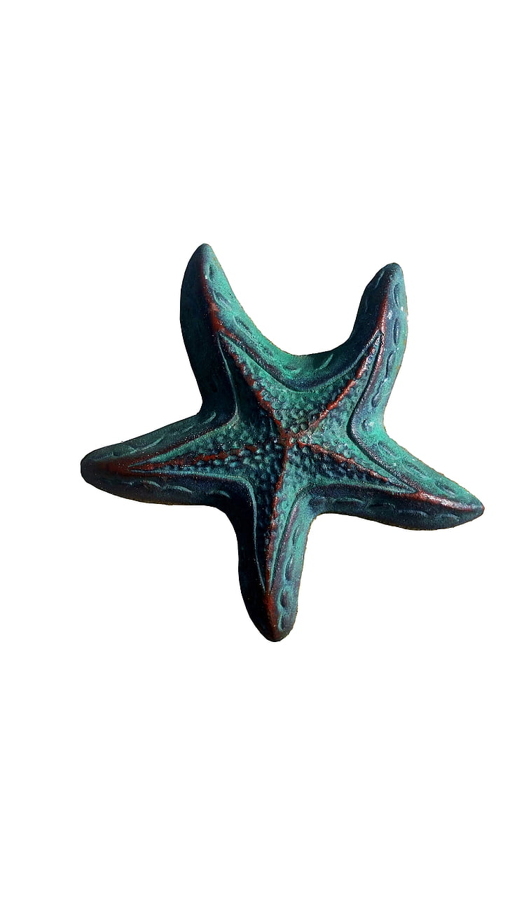 Starfish, pludmale, dabas skulptūra, tirkīza dekori, jūra, izolēta, zvaigznes formā