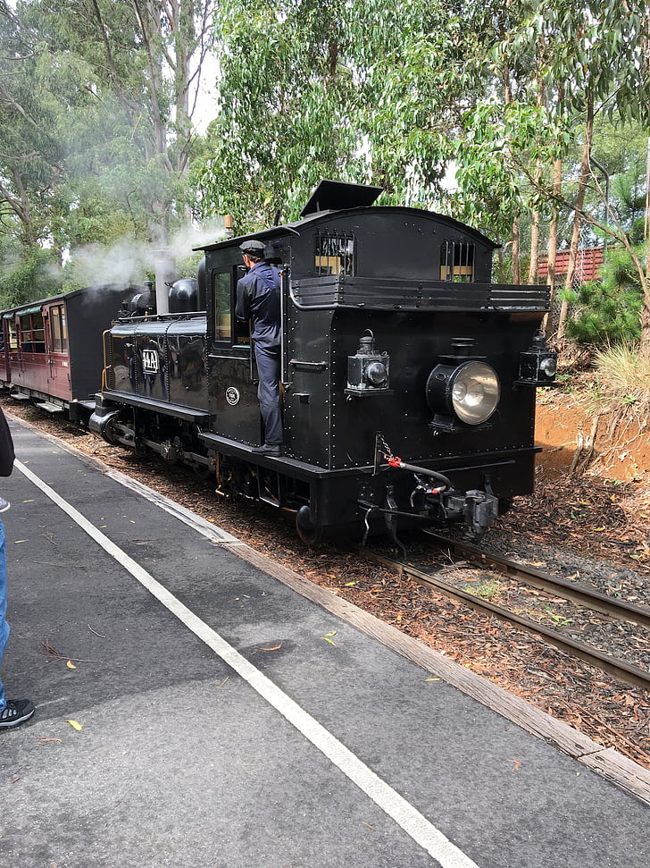 locomotive à vapeur, train, chemin de fer, Australie, vieux, Forest, transport