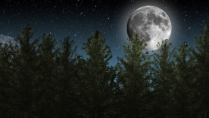 Luna, cielo de la noche, estrellas, árboles, naturaleza, Astronomía, estrella - espacio