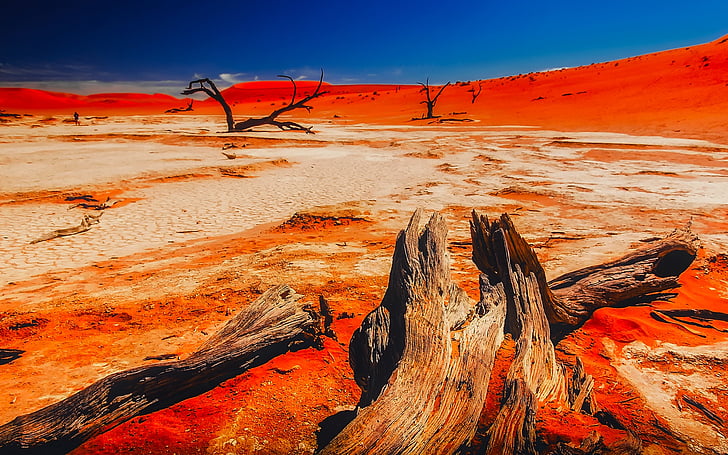 Namíbia, Àfrica, paisatge, desert de, muntanyes, Vall, fusta morta