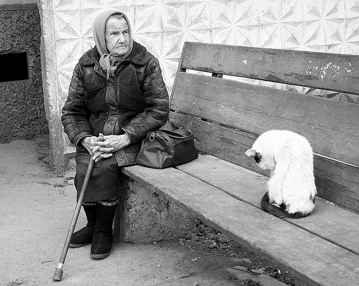 grandma, cat, poverty, shop, stick, old age, black And White