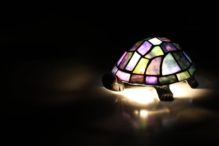 램프, 빛, 거북, 데코, 다채로운, 어두운 조명