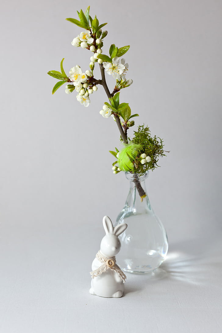 Hare, påske, Kristus er oppstanden, ferie, påske baking, hvit, søndag