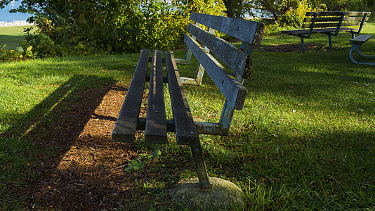 bench, sunlight, grass, autumn, relaxation, park