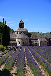 church, monastery, abbey, abbaye de sénanque, notre dame de sénanque, the order of cistercians, gordes