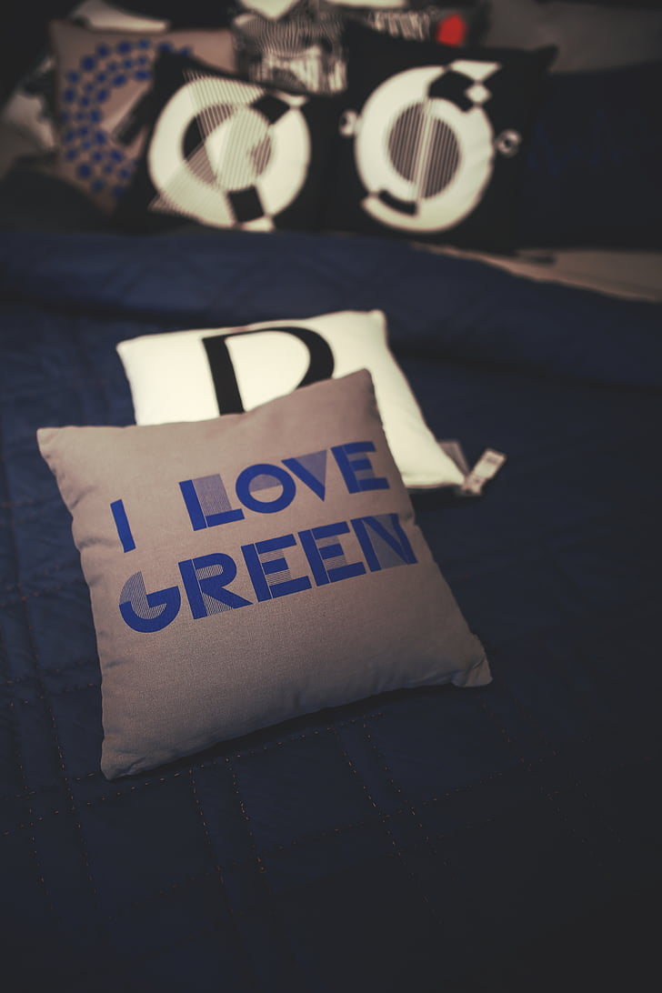 εσωτερικό, Σχεδιασμός, διακόσμηση, διακόσμηση, μαξιλάρι, πράσινο, μπλε