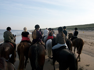 hester, stranden, stranden turen, våren, koselig, hest, gruppe