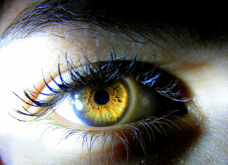 øye, brun, gul, lys, Iris, fargestoffer, menneskelige øye