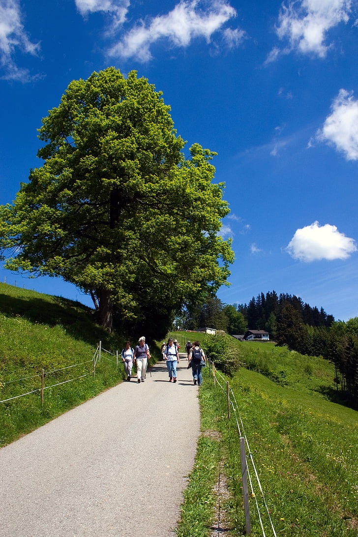 đi, Bregenz, đi bộ đường dài