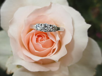 anel, anel de noivado, amor, levantou-se, flor, diamante, noivo