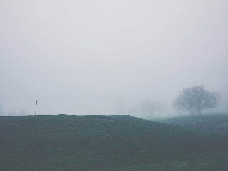 landscape, photography, green, grass, field, foggy, day
