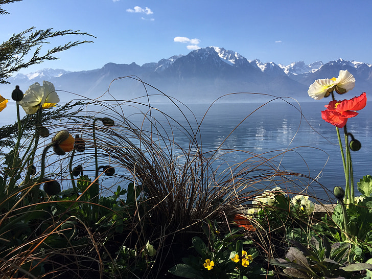 Příroda, voda, Švýcarsko, prostředí, kapalina, reflexe, jaro