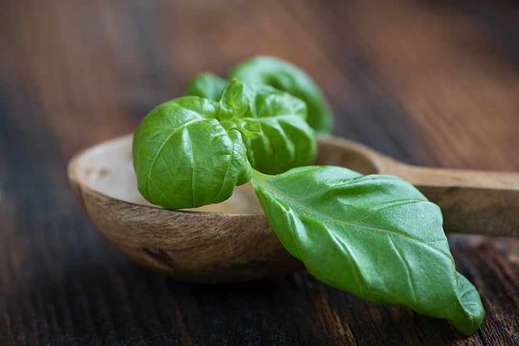 basilicum, groen, Frisch, basilicum-blad, gezonde, eten, voedsel
