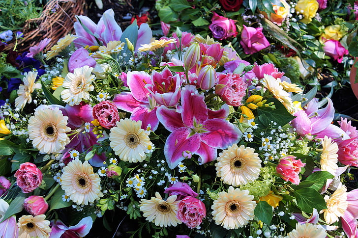 blomster, blomsterbukett, blomster arrangement, buketter, farge, Lily, tusenfryd