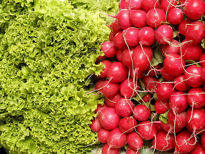 salada, rabanetes, produtos hortícolas, plantas, vegetale, vermelho, comida