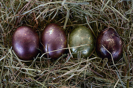ous de Pasqua, Setmana Santa, ou, decoració, decoració de Pasqua, bones festes, verd