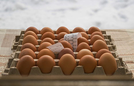egg, kylling, mat, gården, sunn, produkt, protein