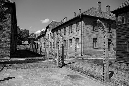 Auschwitz-birkenau, camp de concentració, nazisme, delicte, Hitler, Auschwitz, Birkenau