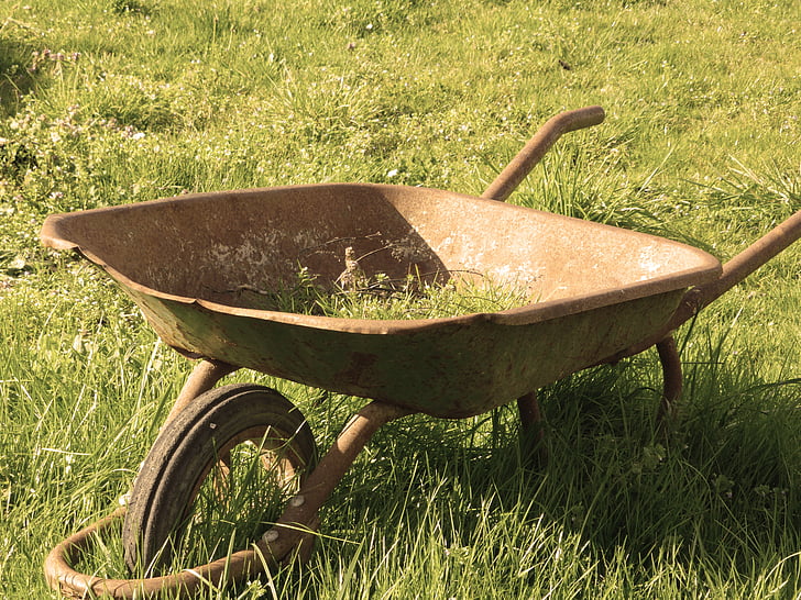 wheelbarrow, grass, abandonment, former, metal, nature