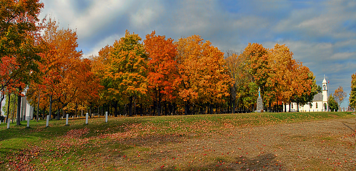 autunno, caduta, colori, colori, stagione, arancio, colorato