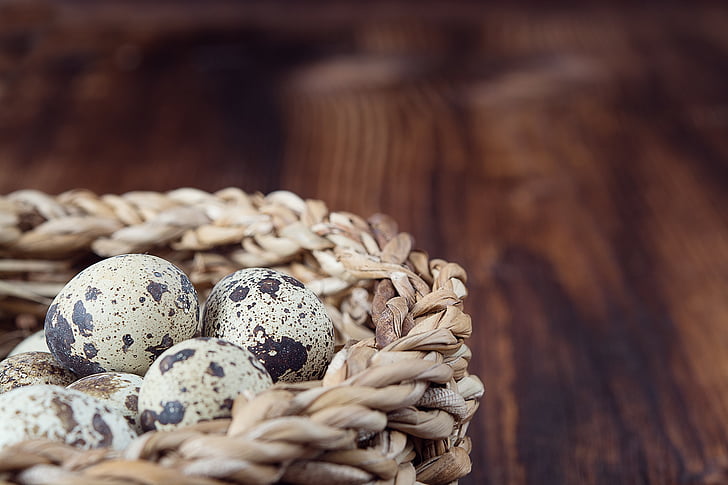 basket, egg, quail eggs, natural product, small eggs, close, text dom
