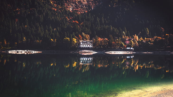 jezero, voda, pobřeží, stromy, závod, Příroda, krajina
