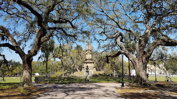 Forsyth park, Savannah ga, punto di riferimento, scenico, Turismo, albero, architettura