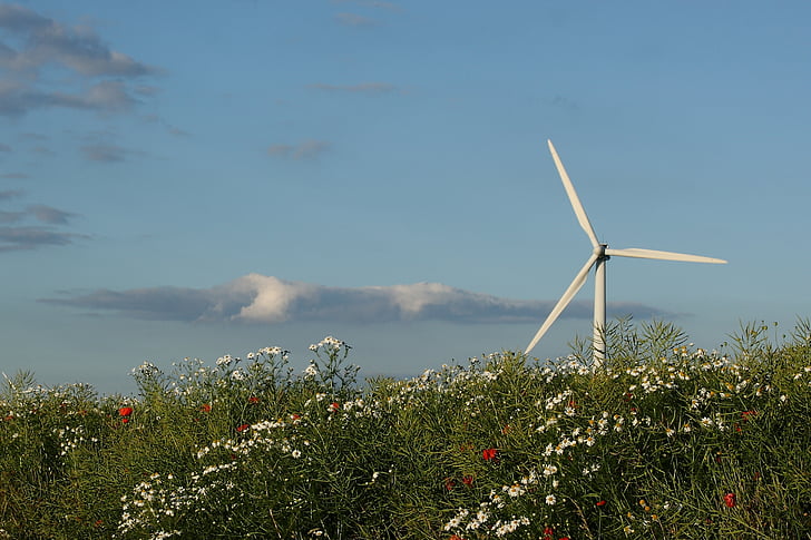 wind turbine, landscape, summer, natural, denmark
