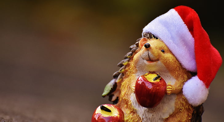 erizo, Figura, Navidad, sombrero de Santa, decoración, gracioso, animal