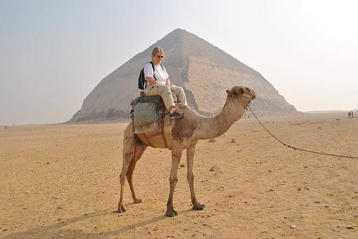 camell, piràmides, informació turística