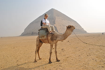 Camel, pyramiderna, turistinformation