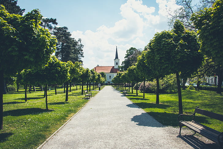 bench, church, footpath, nature, park, path, pathway