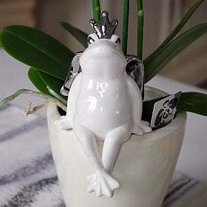frog prince, white, deco, figure, decorative, home, still life