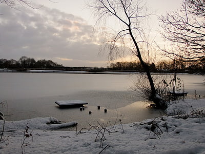 water, cold, lake, frozen, snow, winter, trees